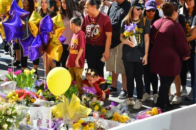 DSC_7204 (Large).JPG